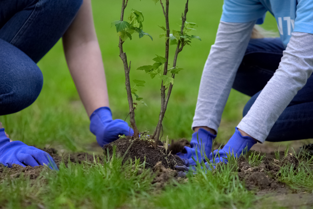 DANR Announces More Than 3.7 Million for South Dakota Environmental Projects