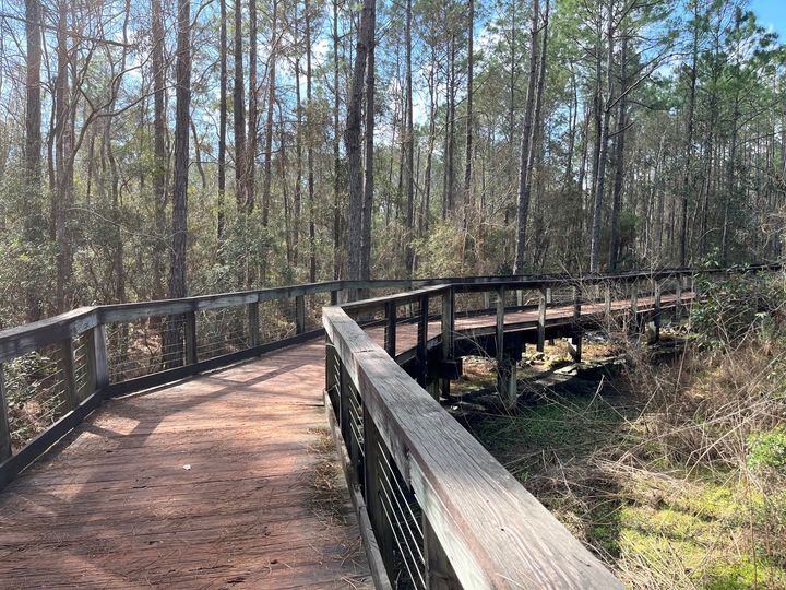 Bayou Marcus Boardwalk