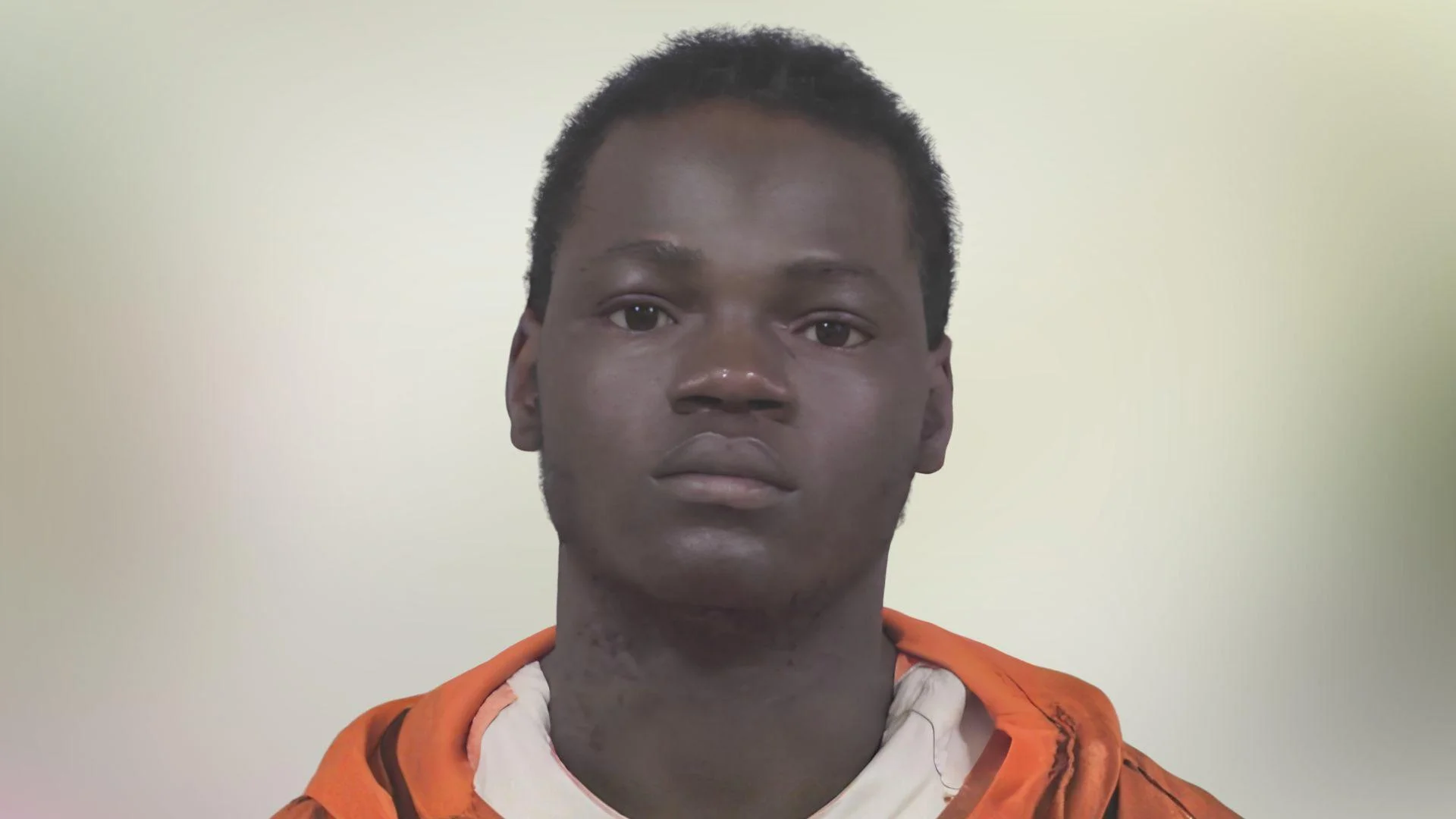 ICE lodges detainer for Haitian national charged in Coldwater, Michigan stabbing death
