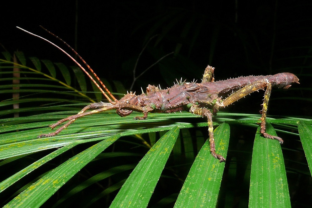 COUNTY OF STEARNS: The DNR invites aquarium hobbyists, gardeners, and anglers to a webinar at noon COUNTY OF STEARNS: The DNR invites aquarium hobbyists, gardeners, and anglers to a webinar at noon
