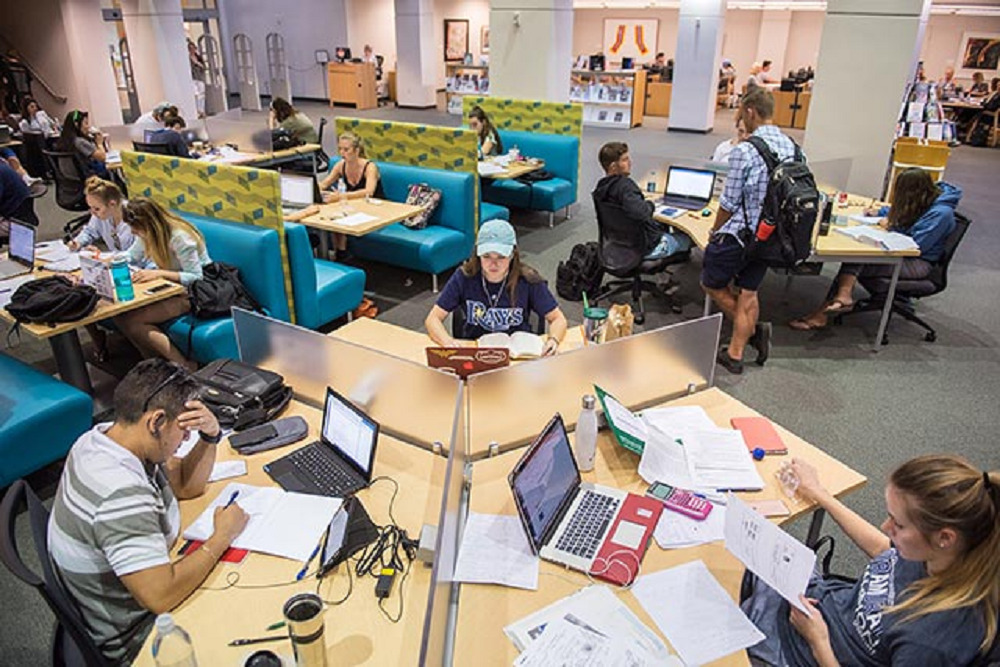 FGCU launches comprehensive campaign to ensure continued excellence