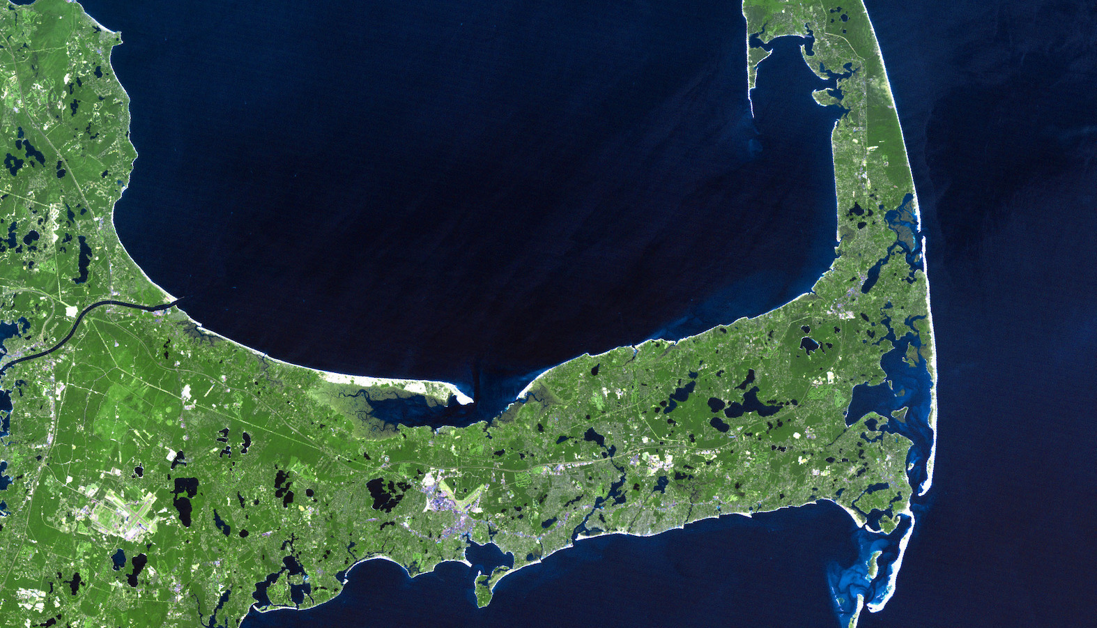 Environmentalists monitor cyanobacteria to protect Cape Cod's ...