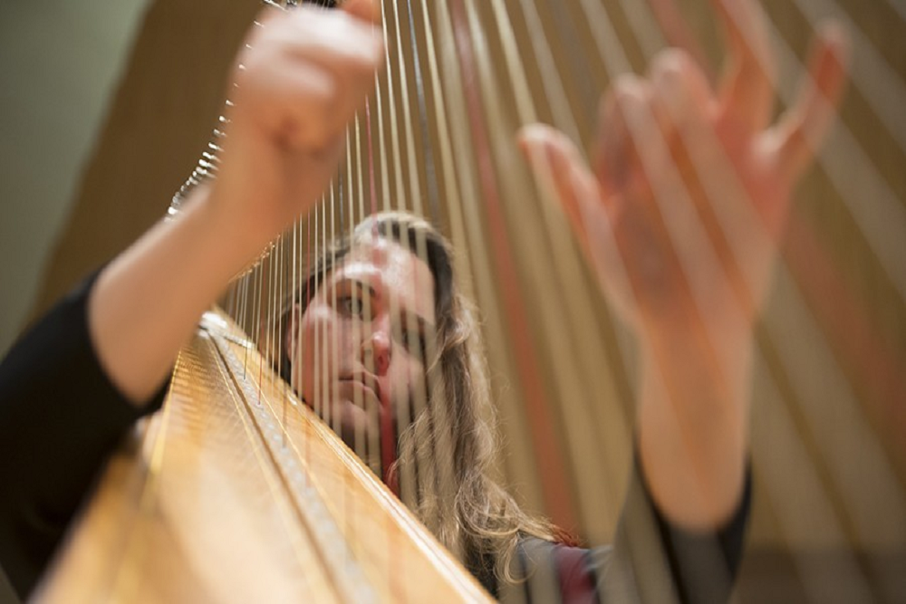 First Coast Harp Ensemble Practice Session In-Person