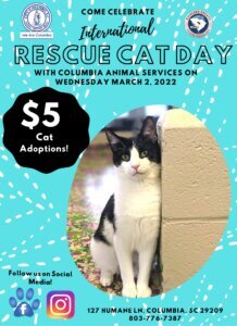 City of Columbia: International Rescue Cat Day Adoption Special