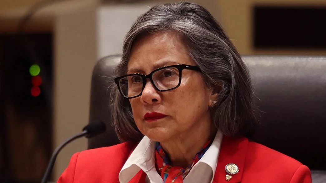 Sen. Rita Sanders files bill to revise Nebraska election law and village governance
