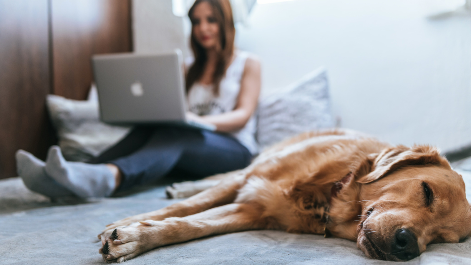 If your dog bites a potential home buyer visiting your home the liability coverage in your homeowners policy should cover the claim. - Unsplash