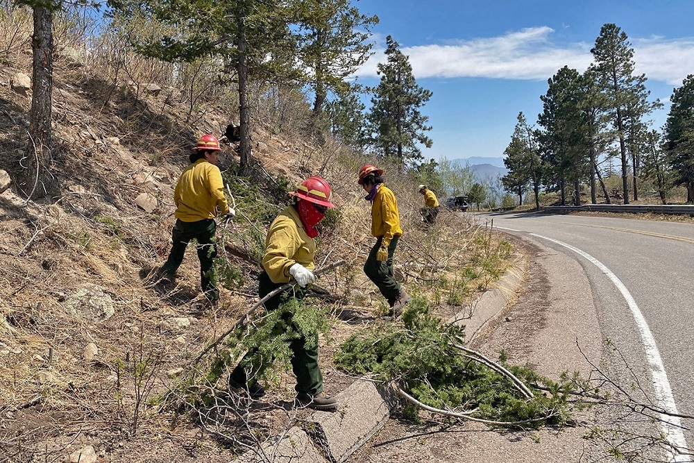 Firefighters Remove Brush and Trim Limbs on Trees Firefighters Remove Brush and Trim Limbs on Trees