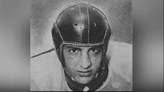 Bill George Linebacker - Wikipedia