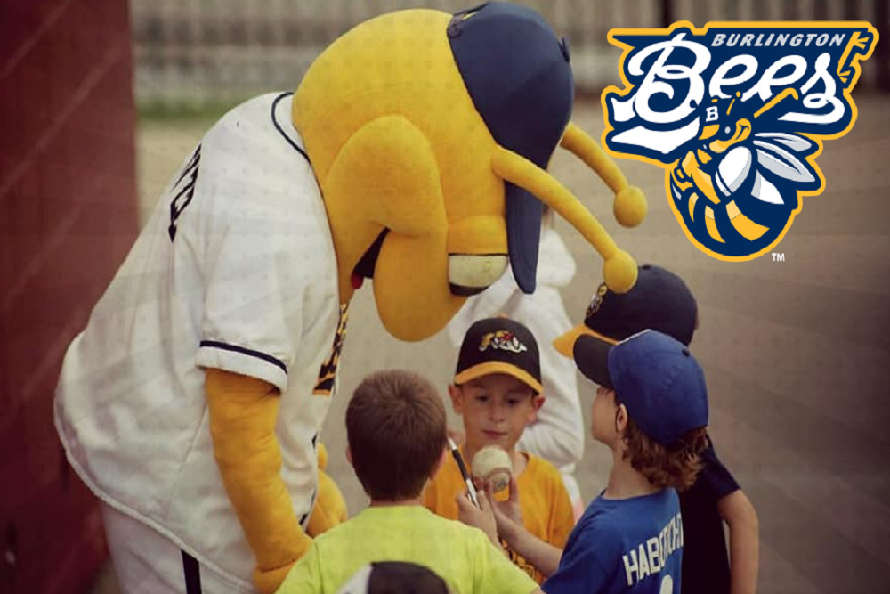 Burlington Bees vs O’ Fallon (MO) Hoots June 16