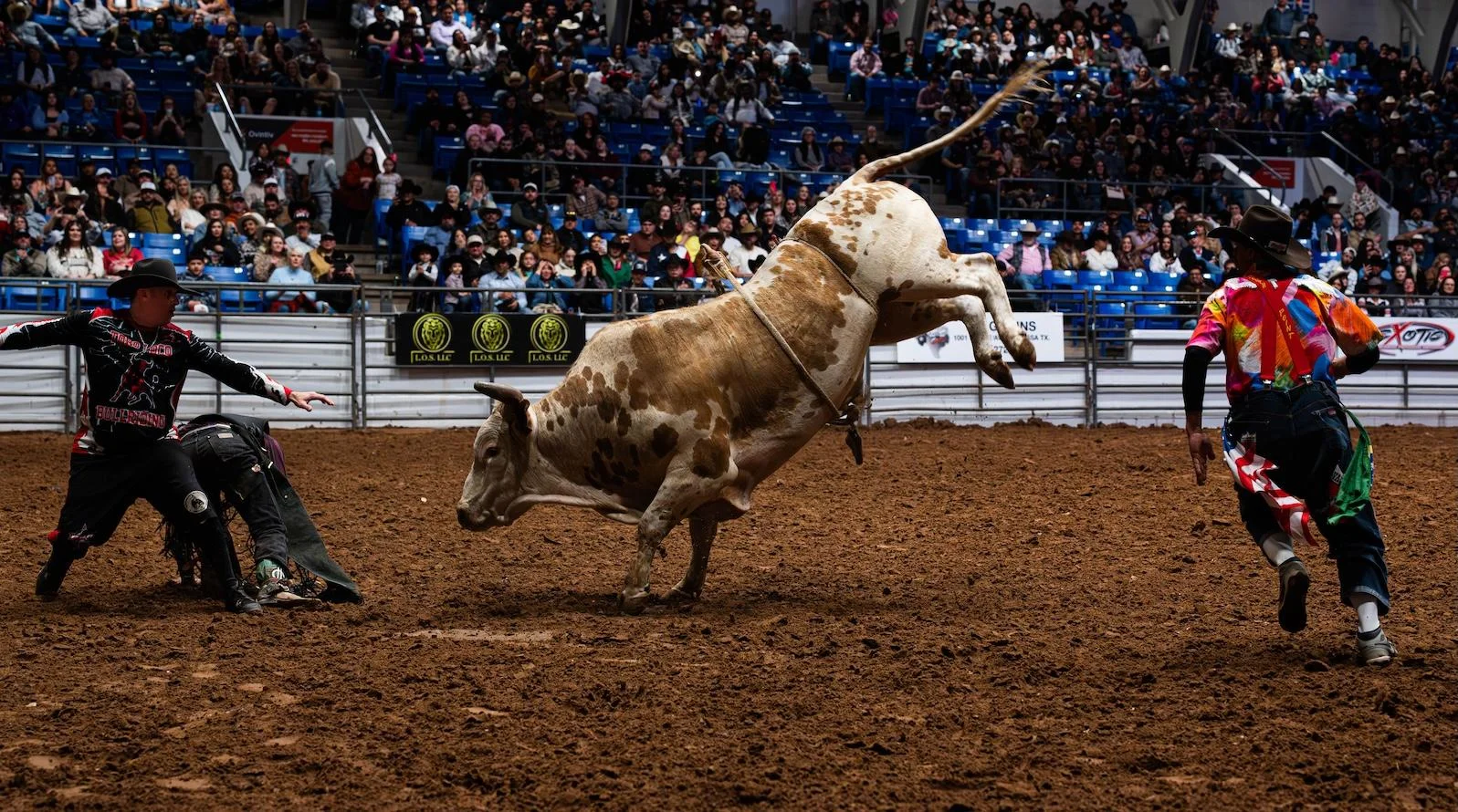 West Texas Bull Invasion returns to Ector County Coliseum on March 7
