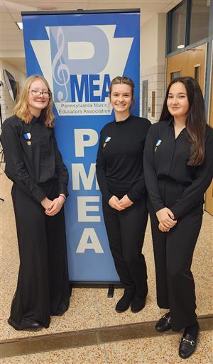 Collegiate Academy students excel at PMEA Orchestra Festival