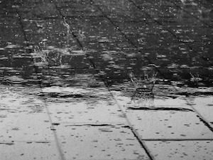 Potential heavy rain, flooding and gusty winds expected Friday and Saturday