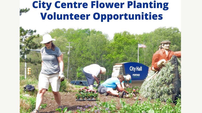 Flower Planting Volunteer Opportunities
