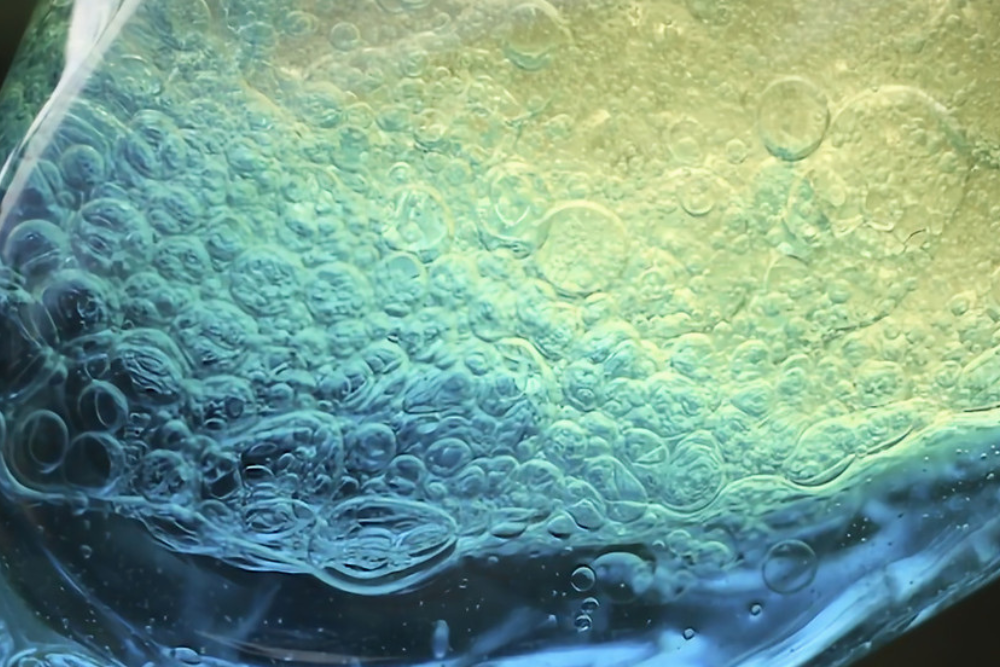 Makersaurus Time: Ocean in a Bottle on July 7