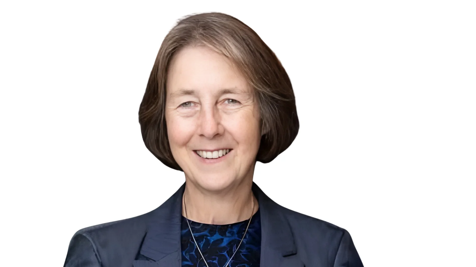 Nancy Skinner, California Energy Commissioner