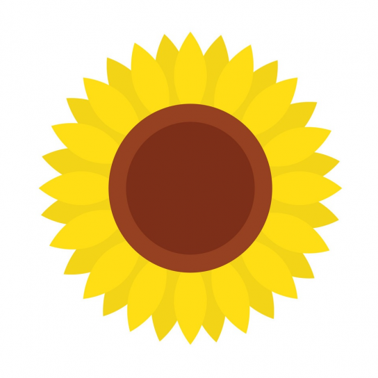 Utility Statements for December for Hoyt Residents Were Sent