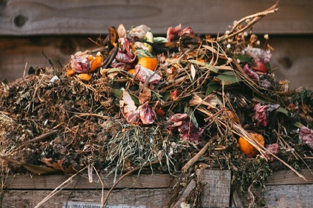 City of Brooklyn Park: Maple Grove Yard Waste Site City of Brooklyn Park: Maple Grove Yard Waste Site