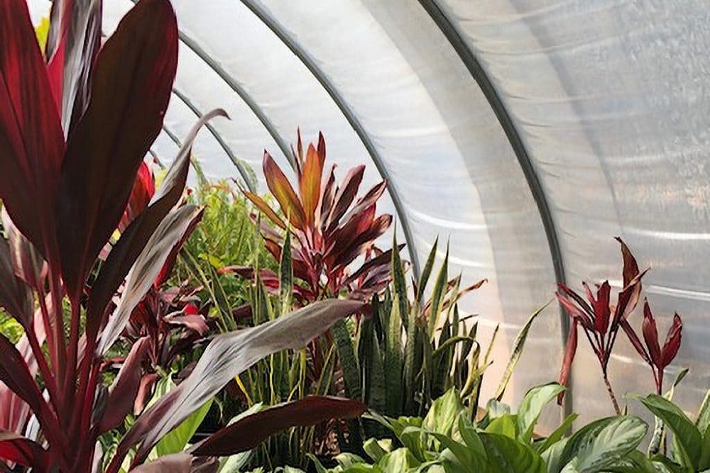 DAHLONEGA-LUMPKIN CHAMBER OF COMMERCE: Plant Sale at Georgia Mountains UU Church April 29-30