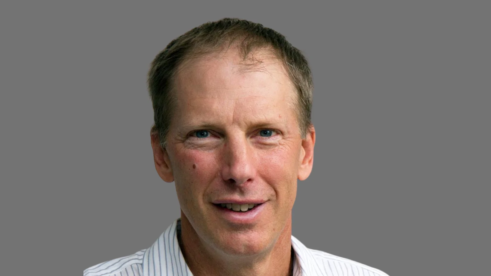 Cornell researchers find 5.5 million bees beneath New York cemetery