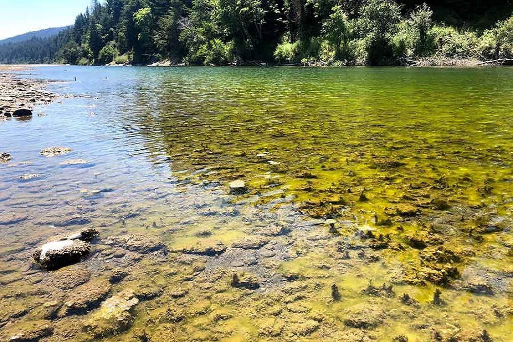 WESTERN NEVADA COLLEGE: Researcher aims to get to the bottom of harmful, hidden riverbed algae