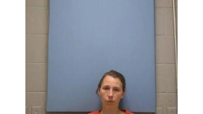 2 bookings reported in violent category in Mississippi County for week ending Aug. 9