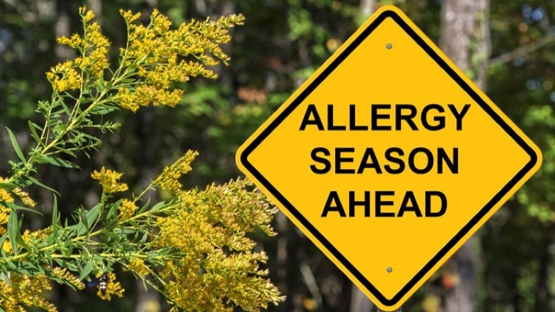 Allergy sufferers have multiple testing options to find out what they are allergic to and develop a treatment plan