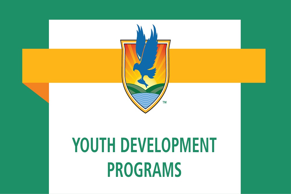 LAKE-SUMTER STATE COLLEGE: Volunteer and Job Applications for LSSC Kids’ College Summer Camps Now Open