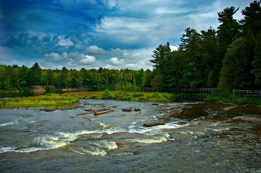 Emergency Forest Restoration Program