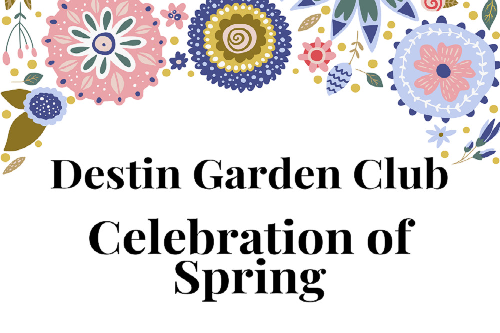 Destin Library’s Birthday Celebration and Open House