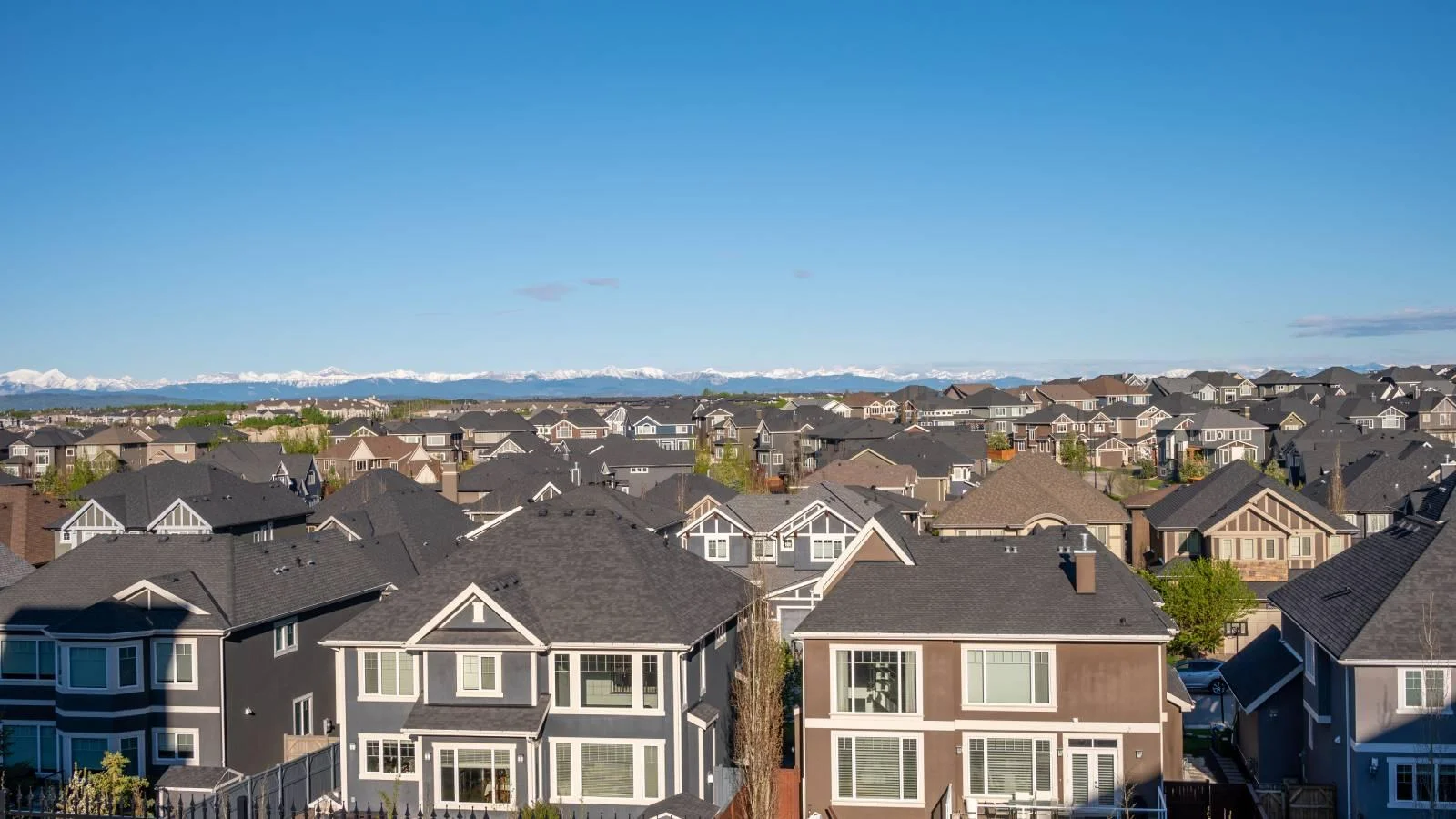 How many people moved to Cumberland County in 2019 from the same state? How many people moved to Cumberland County in 2019 from the same state?