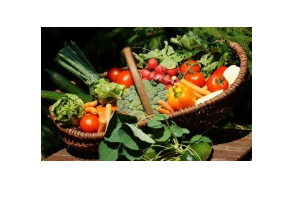 Plant An Extra Row of Produce This Summer for Local Food Pantries Plant An Extra Row of Produce This Summer for Local Food Pantries