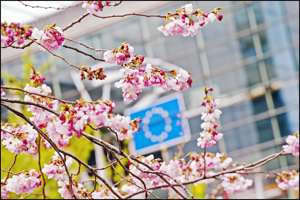 Spring Session Story Time