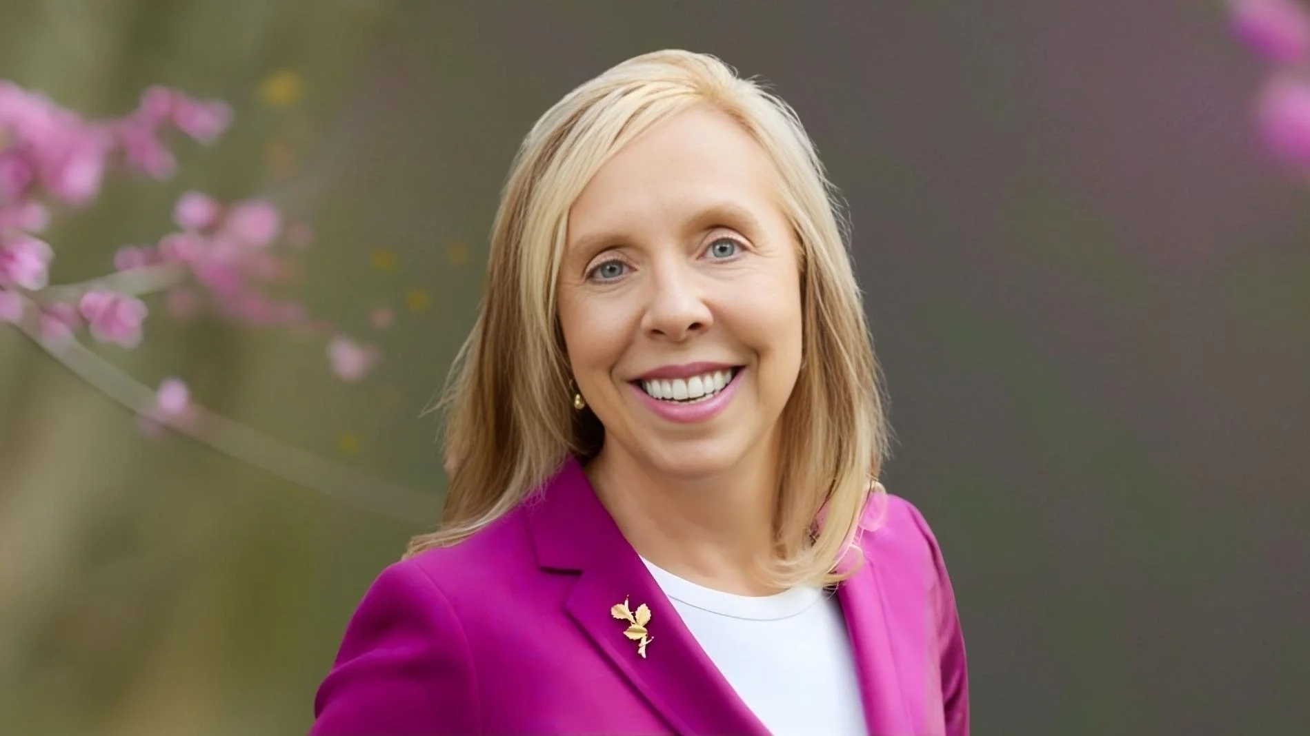 Lesa Lessard Pearson, Chair at Town of Belchertown Lesa Lessard Pearson, Chair at Town of Belchertown