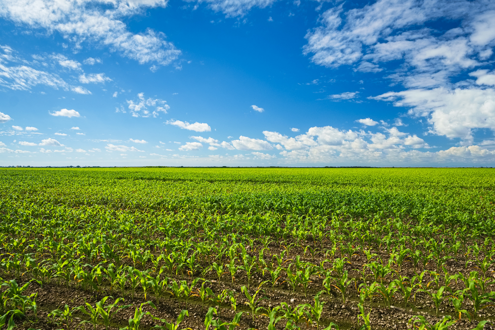 DANR Releases Complete Agenda for the 2022 Governor’s Agricultural Summit