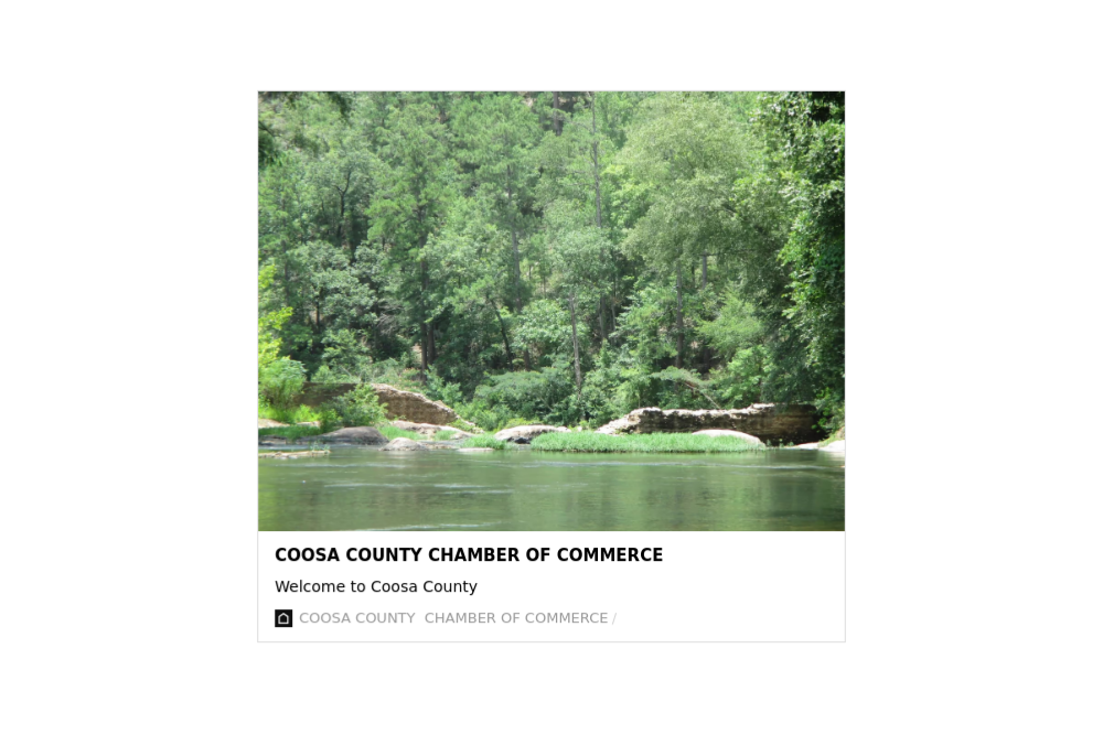 Rockford Town Council meeting on March 21