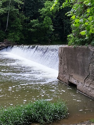 City of Yakima Provides Nelson Dam Update