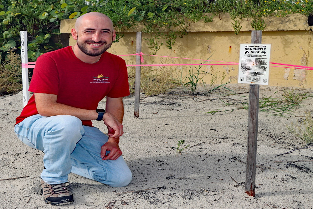 Sea turtle nesting season runs May 1 through Oct. 31 Sea turtle nesting season runs May 1 through Oct. 31