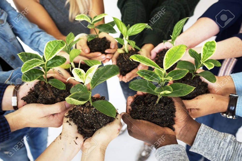 DAHLONEGA-LUMPKIN COUNTY CHAMBER OF COMMERCE: Plant Sale At Georgia Mountains UU Church April 29 – 30