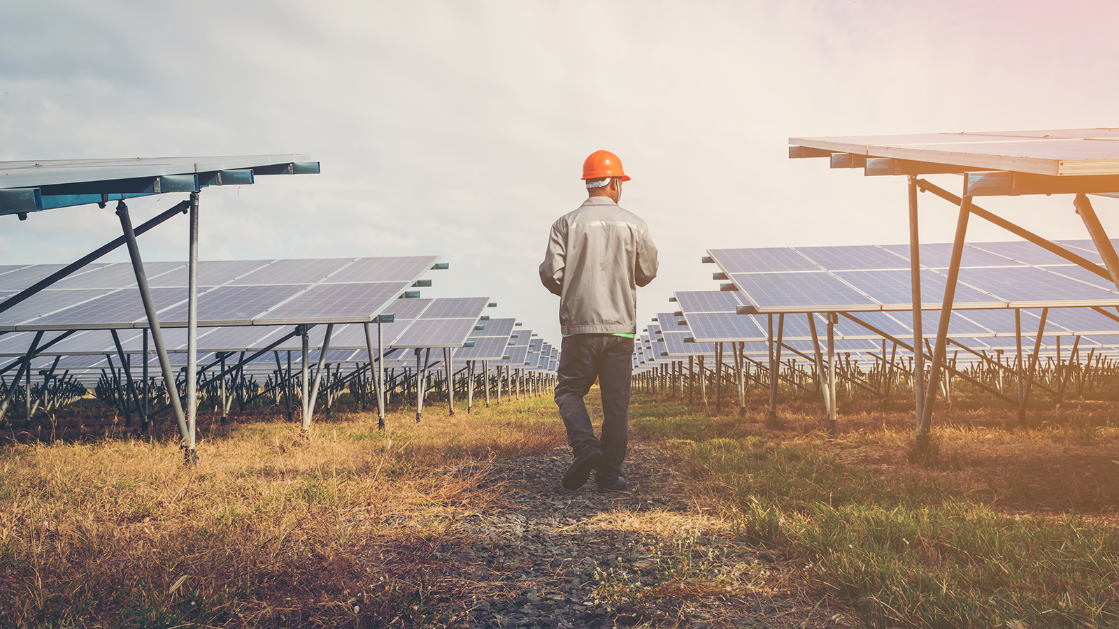 Renewable portfolio standards could contribute to U.S. reliance on China for rare earth tech Renewable portfolio standards could contribute to U.S. reliance on China for rare earth tech