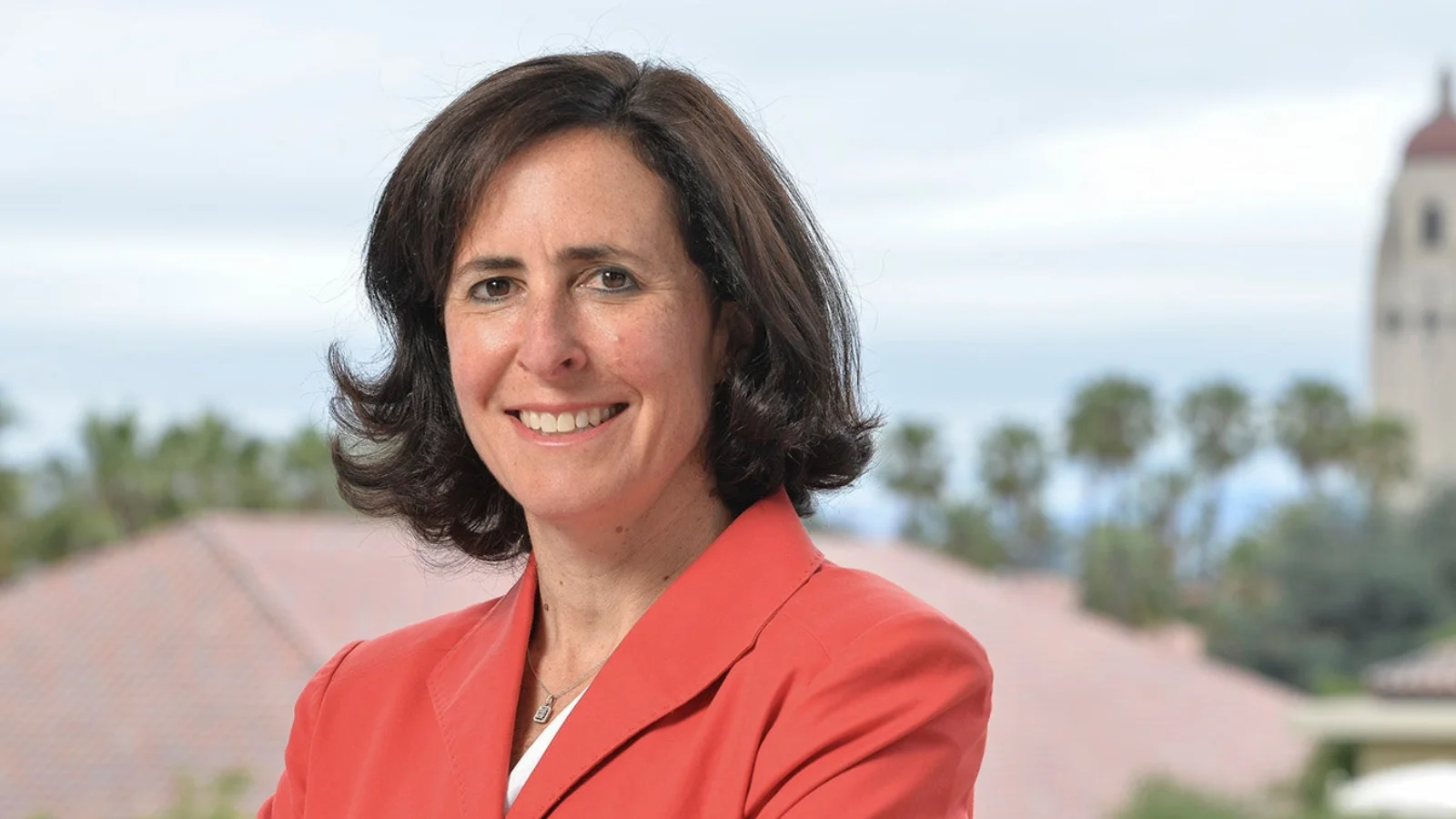 Stanford-led team develops optical tools for advanced brain wave imaging Stanford-led team develops optical tools for advanced brain wave imaging