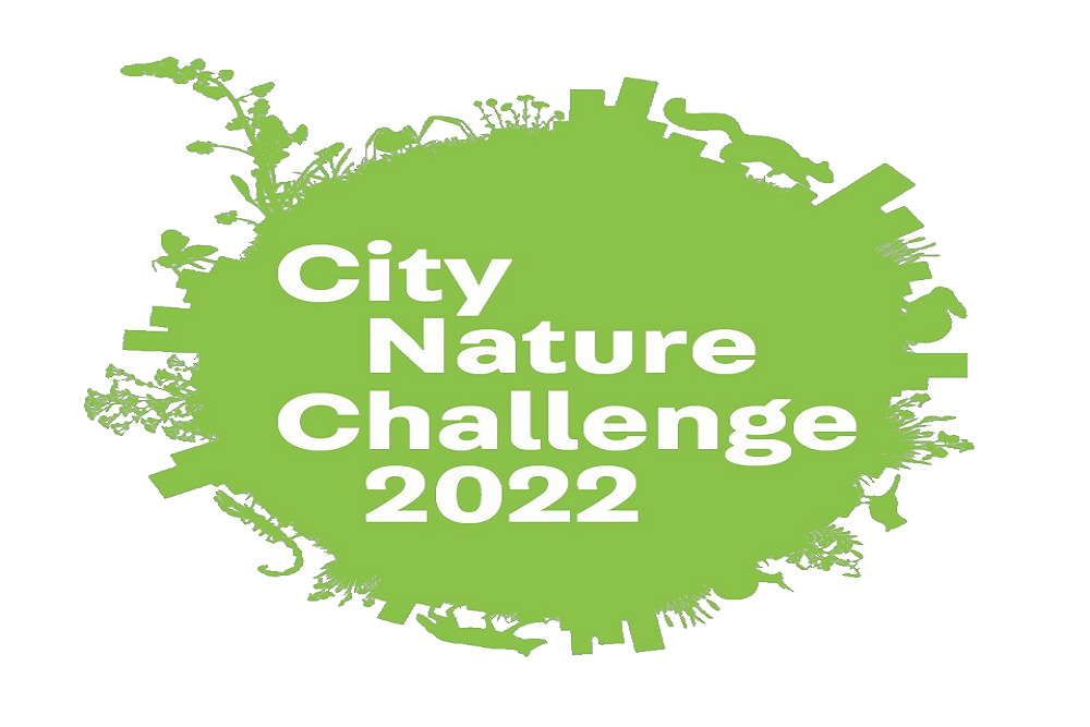 Deltona Joins 2022 City Nature Challenge