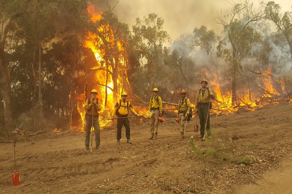 Wildfire Action Plan