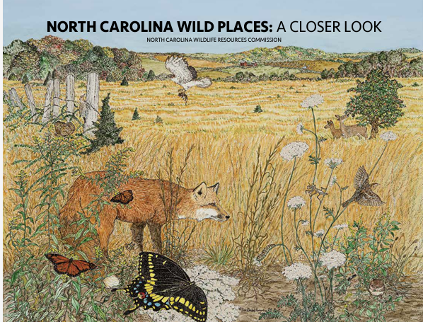 TOWN OF BLACK MOUNTAIN: NC Wildlife Resources Releases Free Book for Educators