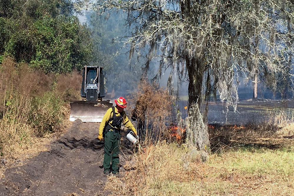 Prescribed fire today at Sunnyhill Restoration Area in Marion County