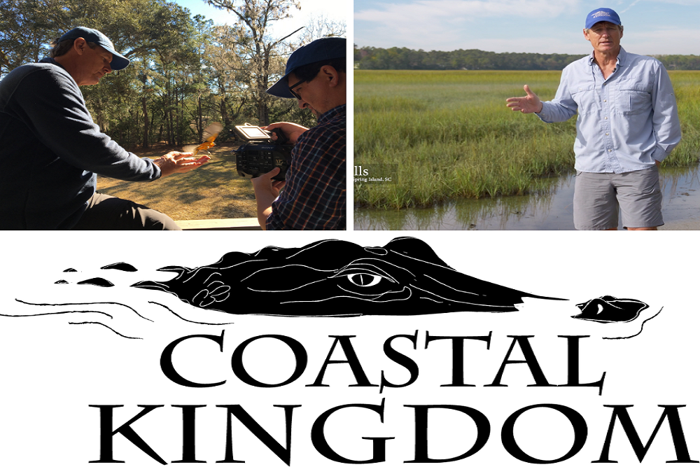 The County Channel Receives Fifth Southeastern EMMY Nomination for Award-Winning Nature Series Coastal Kingdom