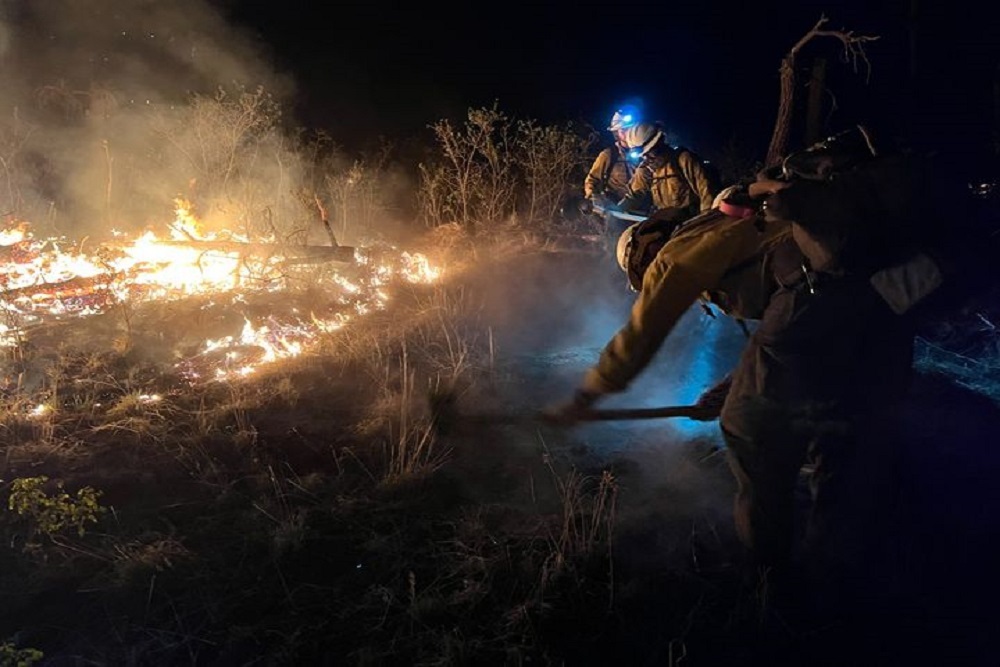 Lone Peak Hotshots
