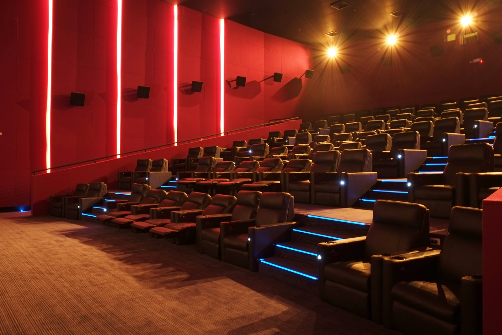 Senior Cinema: I Wanna Dance With Somebody on March 21