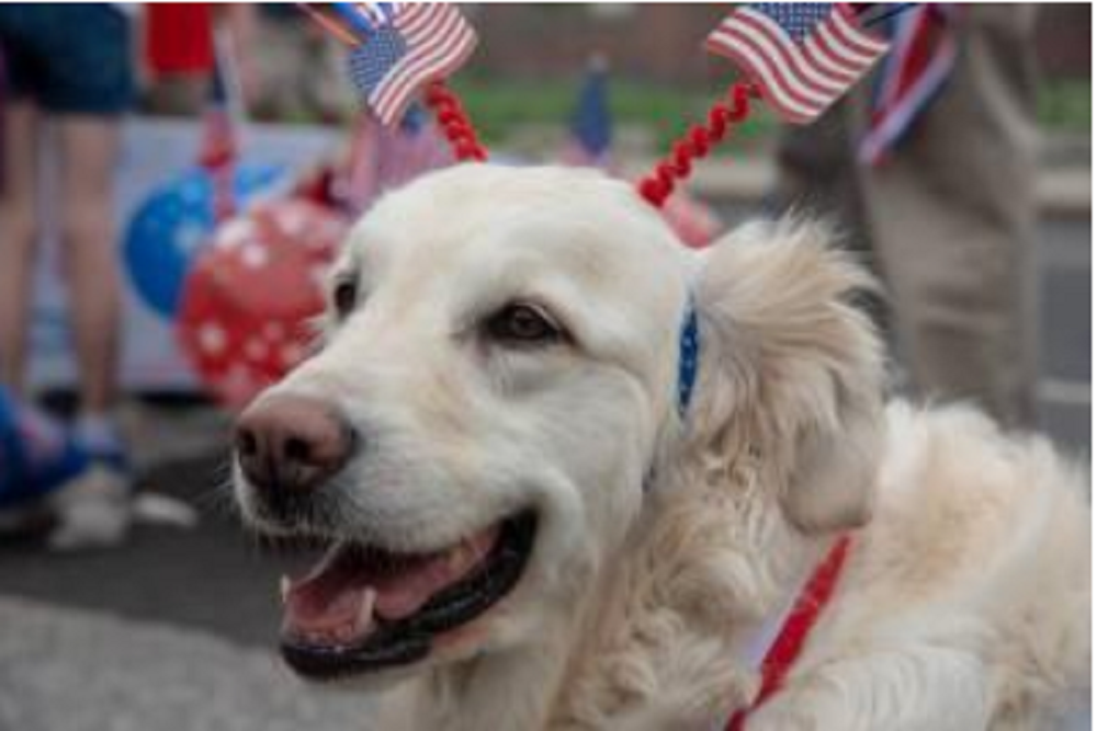 Town Of Winchester: Oldest Pet Parade in the Nation Marches on in Winsted – Saturday, May 21st