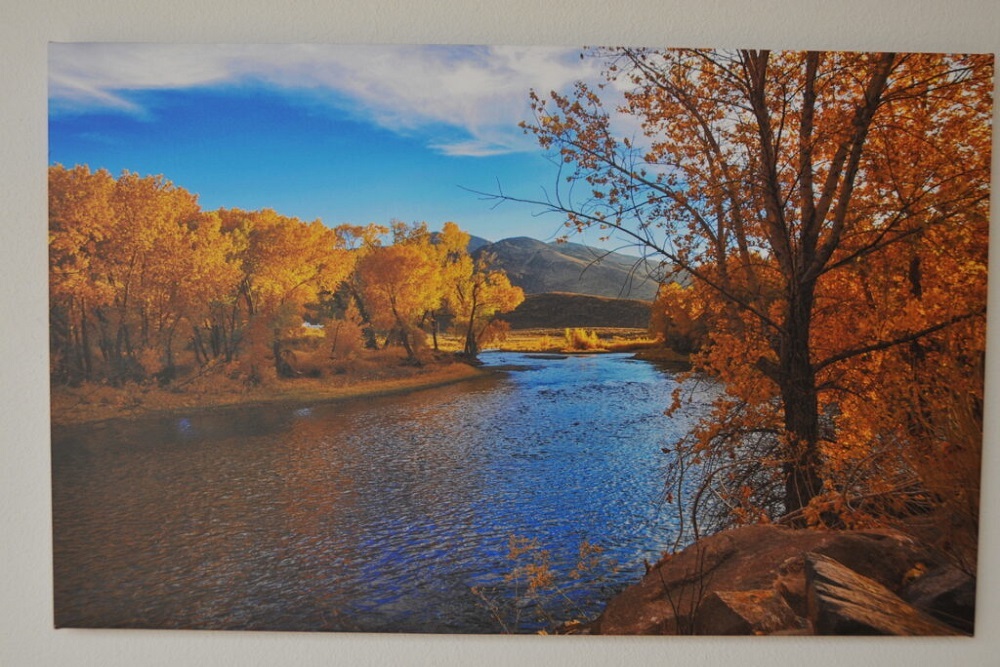 Colorful Photos Adorn Bristlecone Art Galleries Colorful Photos Adorn Bristlecone Art Galleries