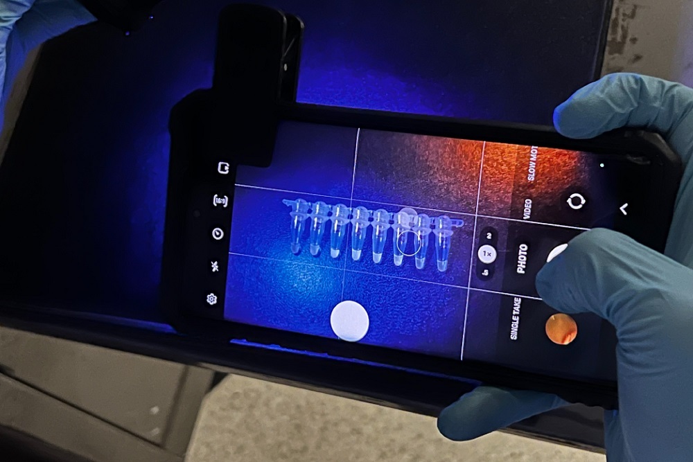 New COVID test can quickly detect variants New COVID test can quickly detect variants